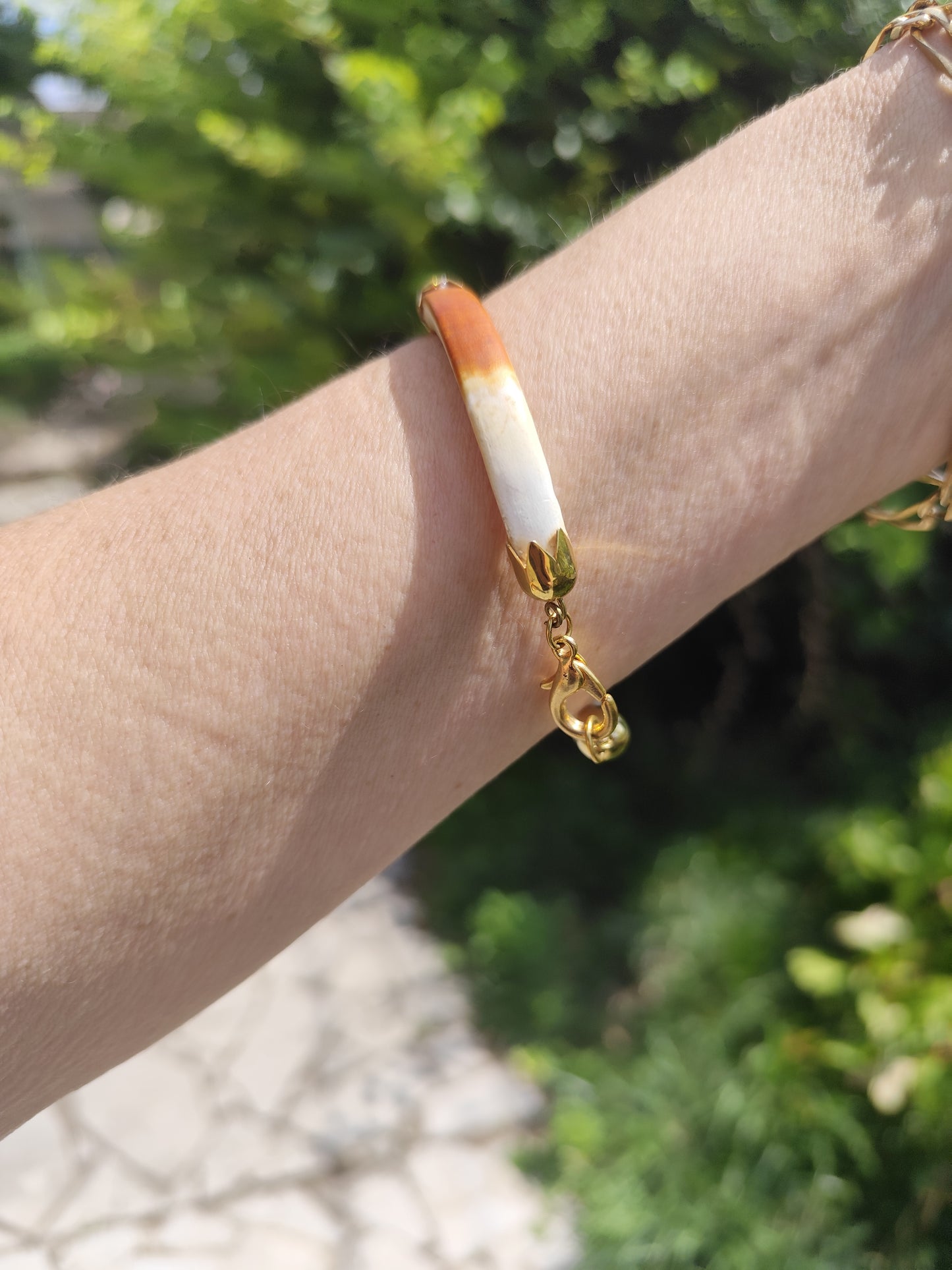 Parure collier et bracelet dent de castor