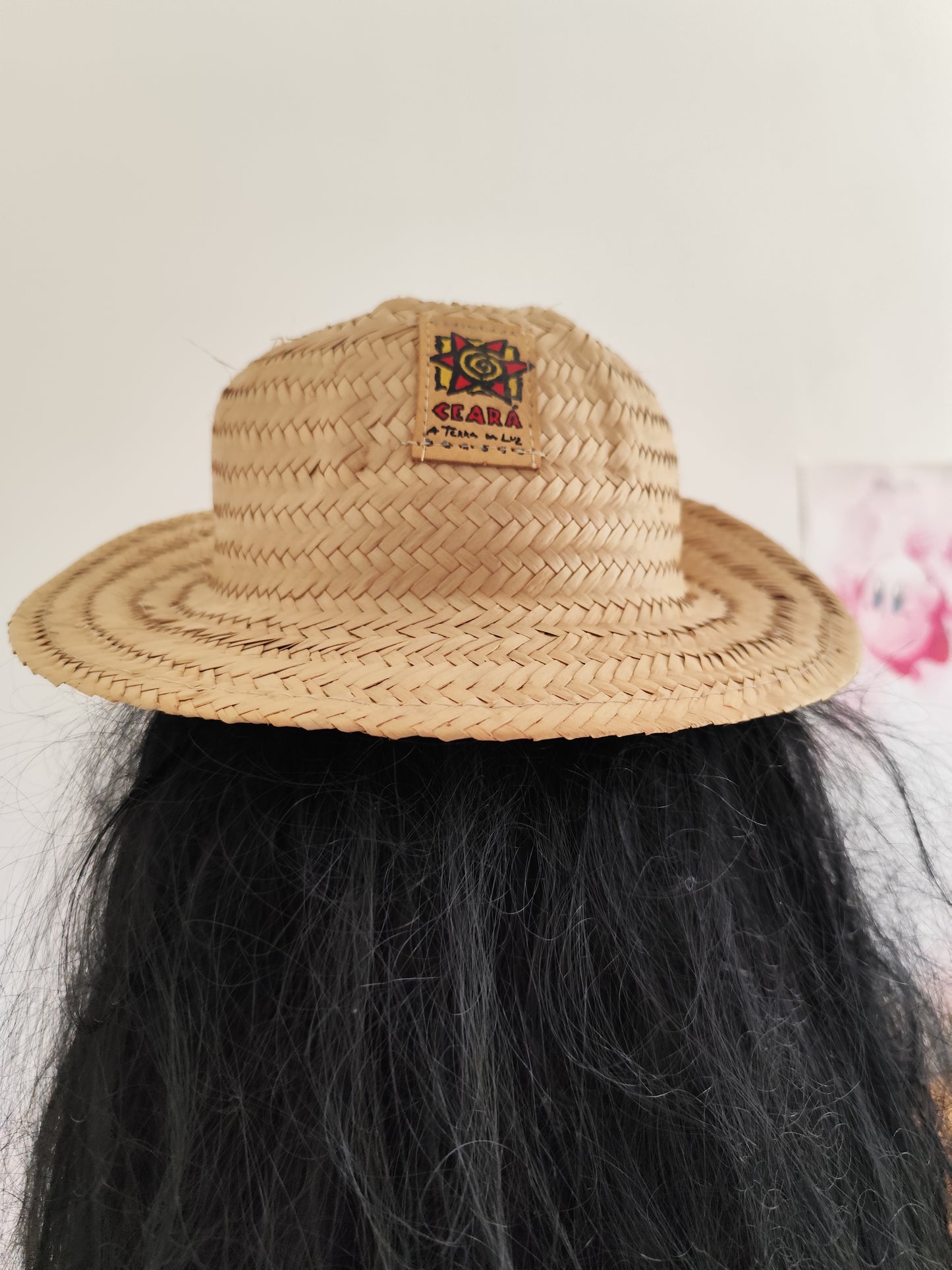 Chapeau de paille du Brésil