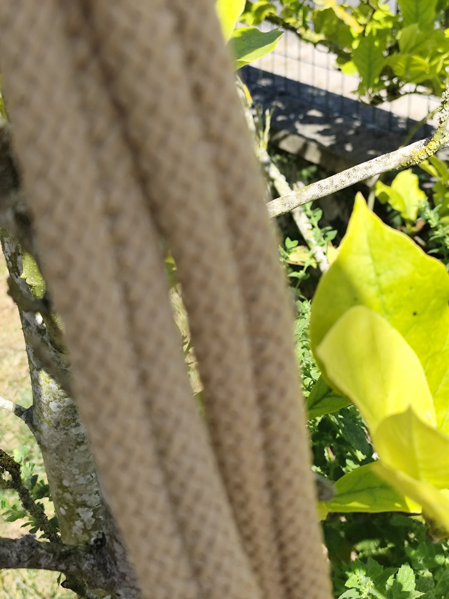 Sac cabas beige tressé et tissu
