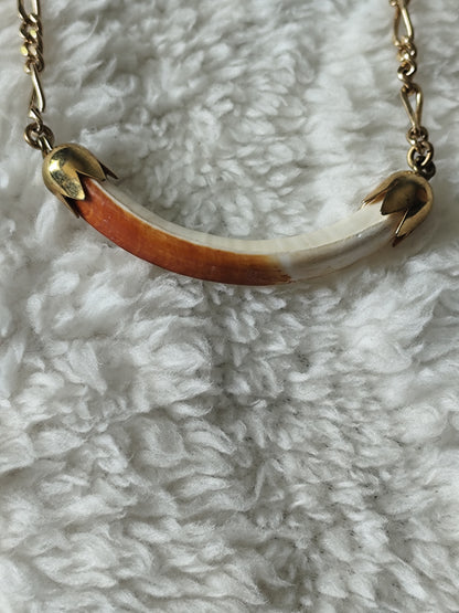 Parure collier et bracelet dent de castor